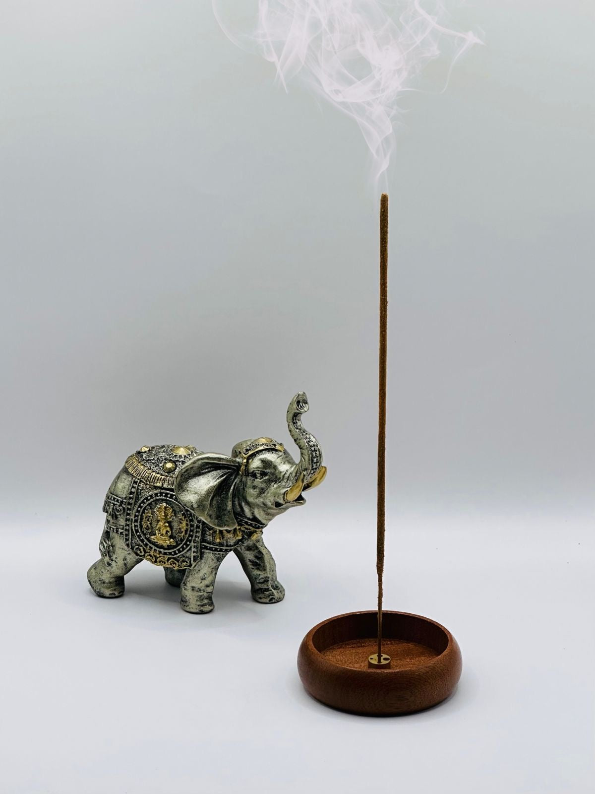 Elefante de la fortuna