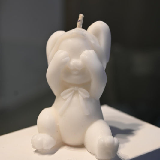 Vela Conejito Misterioso