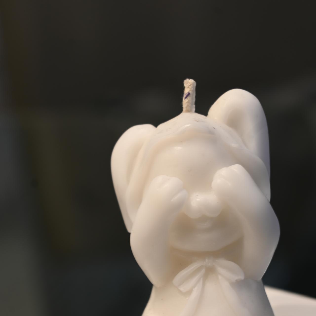 Vela Conejito Misterioso